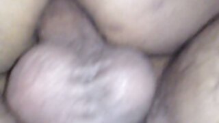 சேனல் பிரஸ்டன்