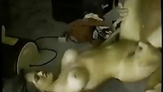 பொன்னிற முடி