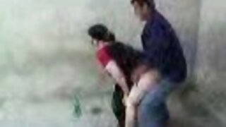 கியோகி நட்சத்திரம்
