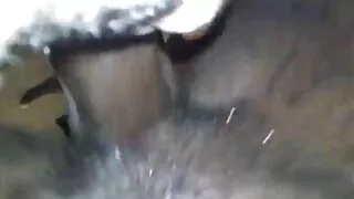 இளவரசி பிலியா மற்றும் அவரது கடினமான ஆபாச சிறப்பு நினைவுகள்