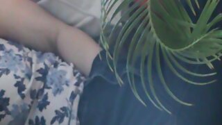 முட்டைகளில் நடப்படுகிறது