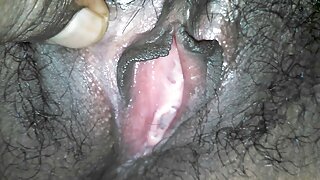 பெர்னி