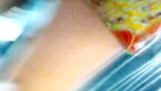 நோலா எக்ஸிகோ