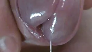 காலுறைகளில் Coed கார்க் ssbbw ஆபாச குதத்திற்கு மயக்கப்பட்டது
