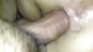 கழுதை ஒல்லியில்