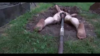 தரையில் zooxhamster மார்பளவு அழகியுடன் சூடான காலை செக்ஸ்